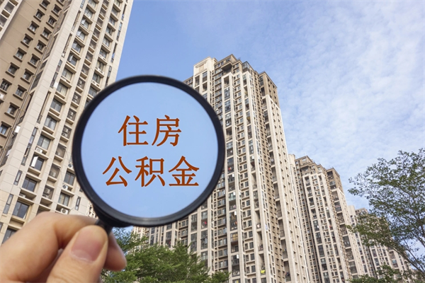 查询我的住房公积金-岑溪公积金代办平台